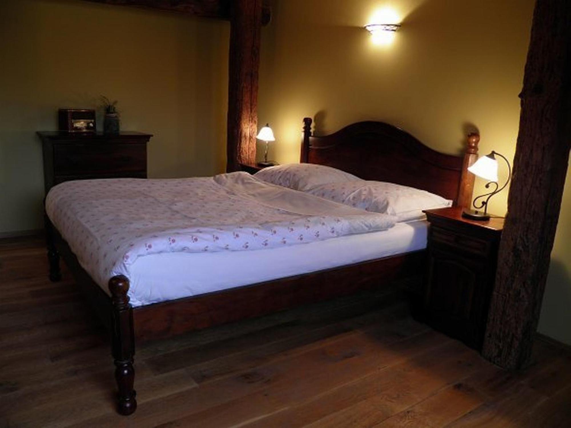 Dvur Olsiny -Hotel And Horse-Riding Karviná 部屋 写真