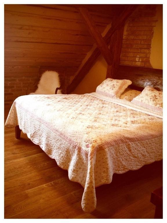 Dvur Olsiny -Hotel And Horse-Riding Karviná 部屋 写真